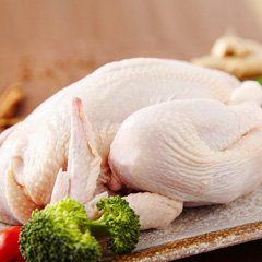 家禽配送 家禽配送